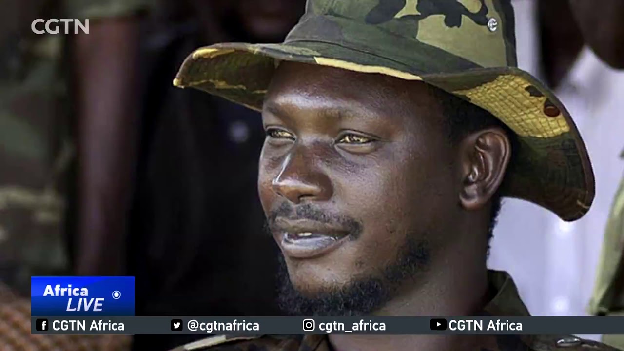 The rise of Allied Democratic Forces