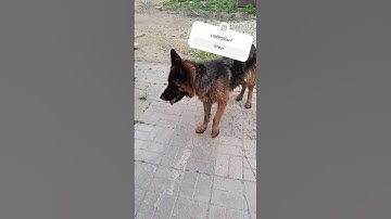 Thumbnail of Буратино утонул а колобок повесился.