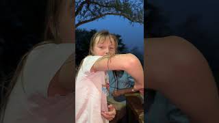 A large rain spider that some folks call a wolf spider came to join us for supper! 🌍