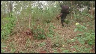 RUBYOGO comedy kabaye