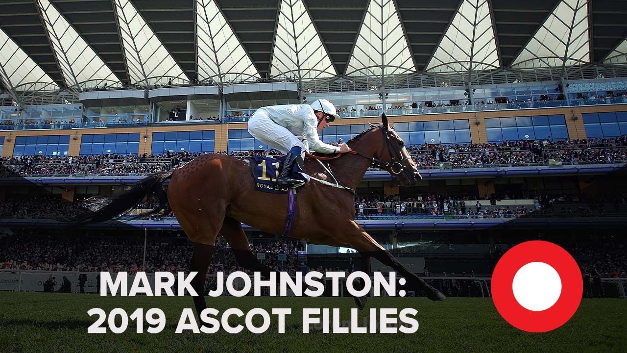 ascot racecourse wiki Royal Ascot 2019: Mark Johnston Stable Tour | Fillies