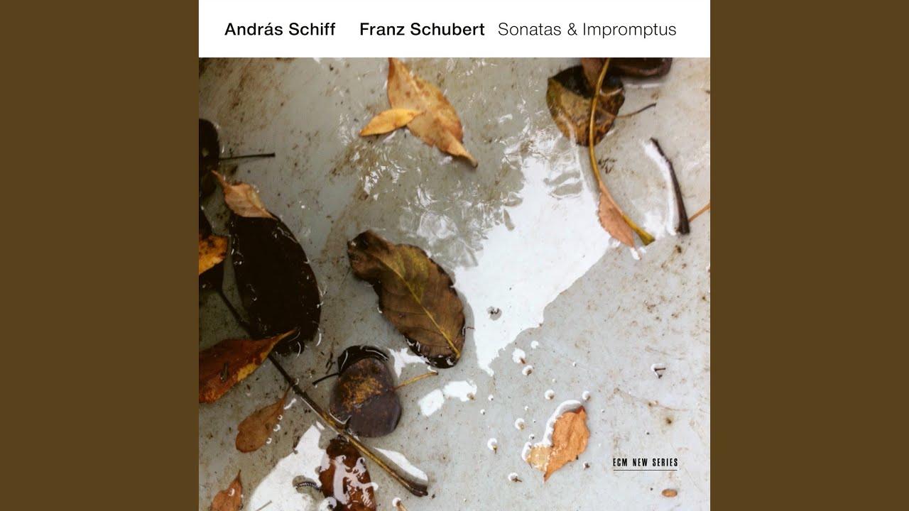 Schubert: Piano Sonata No. 20 in A Major, D. 959: I. Allegro - YouTube