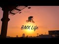BMX Life | Gta Stunt Montage
