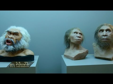 ვიდეო: გასართობი მეცნიერებათა უნიკალური მუზეუმი 
