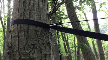 My Hammock System - DD Frontline Hammock with Underblanket and Mods