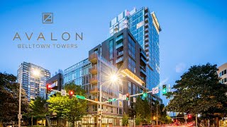 Avalon Belltown Towers | 1 BR 1 BA 729 sq ft, Tier II Scheme, Unit 1504