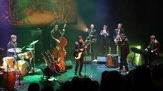 Tiny Legs Tim & Band @ De Kleine Beer- Beernem - org : Rumoer!