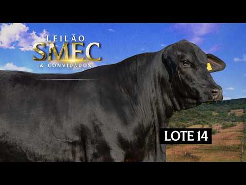 LOTE 14 - Doadora - SOLDERA TE21201 15159 NATITO