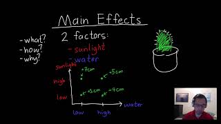 Main Effects Explained