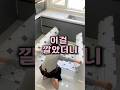 이걸 한번 깔아보세요! #주방매트 #주방템추천 #생활꿀팁 #생활꿀템
