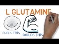 L GLUTAMINE : WHAT DOES GLUTAMINE DO