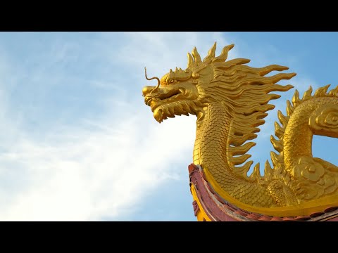 2024 წლის მთავარი ტენდენციები და პროგნოზი | როგორ გავატაროთ მწვანე ხის დრაკონის წელი