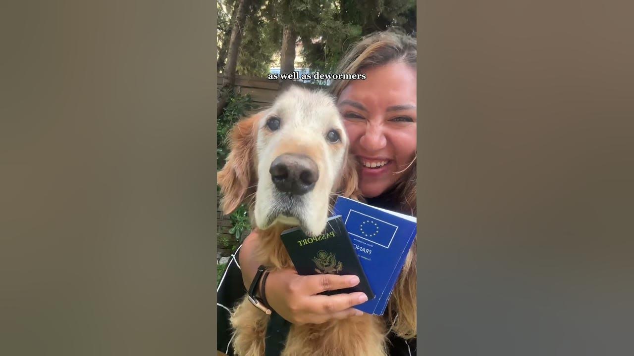 icanhas-pet-passport-pet-passports-cats-dogs-passport