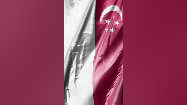 🇸🇬 Singapore Flag: The Red and White Pride of Asia! #Singapore