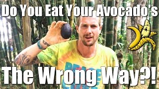 Do You Eat your Avocado's the Wrong Way?! screenshot 2