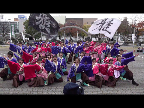 皇學館大学よさこい部 雅 @四日市よさこい祭り(市民公園会場) 2017-11-26T14:50