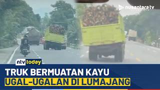 Download Lagu Viral! Truk Kayu Ugal-Ugalan di Jalan Lumajang, Polisi Periksa Pelaku | NTV TODAY MP3