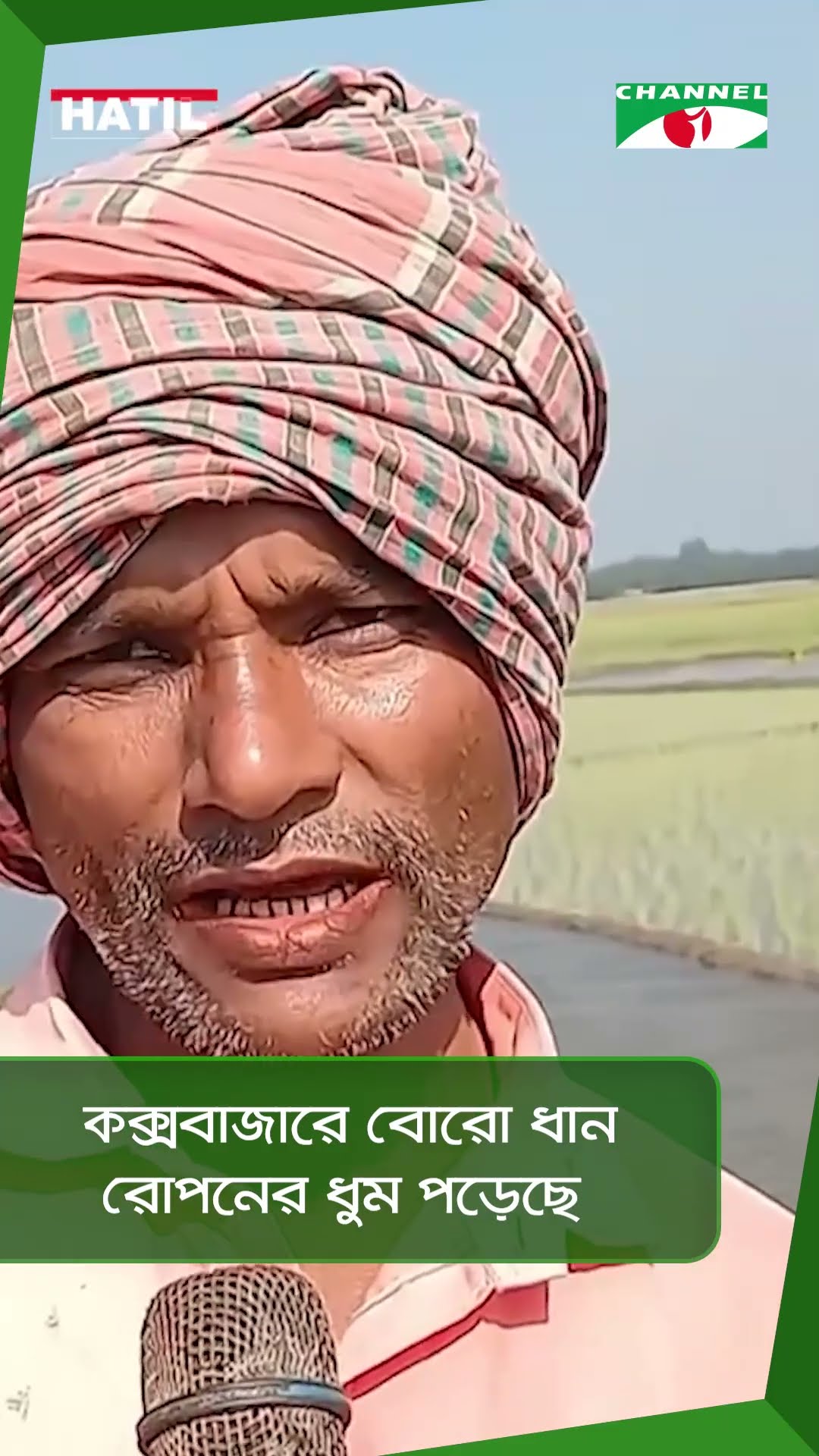 কক্সবাজারে বোরো ধান রোপনের ধুম পড়েছে || Channel i News