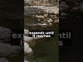 Ripples of Karma