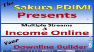 What Is A Downline Builder Part 1