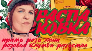 видео: Распаковка 2025. Розы из питомников: прима роза, элит, розасмол, розовая клумба. картинка: Распаковка 2025. Розы из питомников: прима роза, элит, розасмол, розовая клумба.