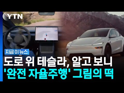 Tesla Owners in Korea Tried Using FSD, but... Are Most of Them 'Bare-Bones' Cars? [News Now] / YTN