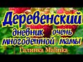 Деревенский дневник очень многодетной мамы /Наглость - второе СЧАСТЬЕ /Обзор новых ВЛОГОВ /