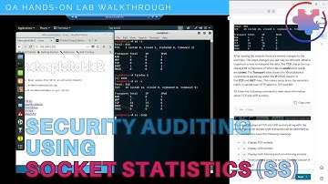 Security Audit Techniques (QA Walkthrough)