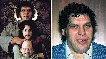 Warum ist Andre the Giant gestorben?