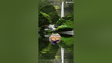 روعة الشيخ عبدالباسط عبدالصمد في تلاوة أول آيات سورة إبراهيم