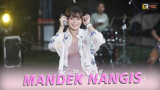 Esa Risty - Mandek Nangis ( Live Music) Banyu moto uwes asat krono mikir koe minggat..