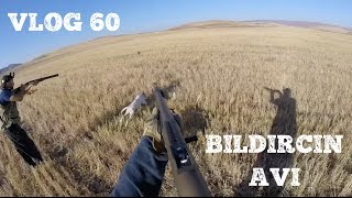 ATA CY Taktik ile BILDIRCIN Avı VLOG 60