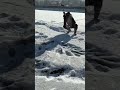 Amazing creativity in snow