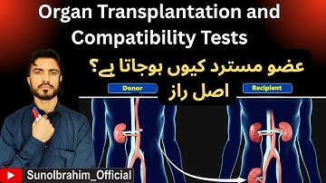 Organ Transplant Compatibility Explained | ABO & HLA Matching Before Transplantation