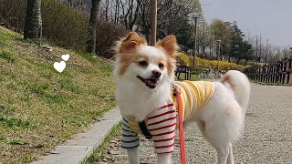 내 다리는 보~~~통이 아니야! (My legs are not normal!)