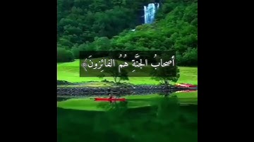 تلاوة تنير القلوب بدون استإذان(مشاري فالح)