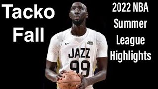 Tacko Fall 2022 NBA Summer League Highlights