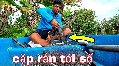 Bắt được hàng khủng khi đang thăm 