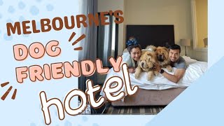 Celebrating 2022 | Pet Friendly Hotel in Melbourne #nye2022 #petfriendlyhotel by Red Cappuccino 274 views 2 years ago 17 minutes