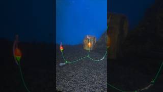 Ternyata Seperti Ini Rangkaian Pancing Dasaran Pakai Pelampung #shorts #fishing
