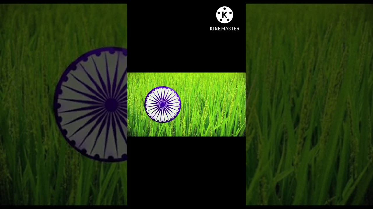 Why Ashok Chakra in Navy Blue Color 