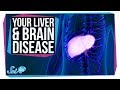 How Liver Problems Can Lead to Brain Disease