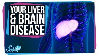 How Liver Problems Can Lead To Brain Disease