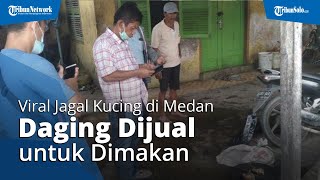 Heboh Rumah Jagal Kucing di Medan, Warga Sebut Daging Dijual Rp70 Ribu lalu Dimakan