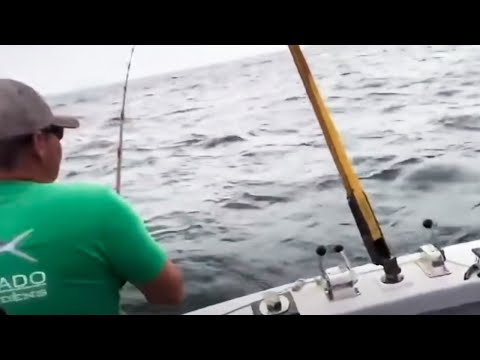 मासेमारीचे 10 धक्कादायक क्षण कॅमेऱ्यात कैद!