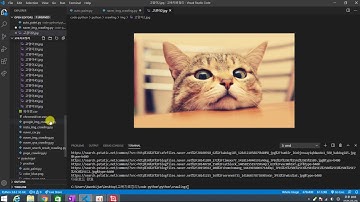춤추는 파이썬 - 4주만에 끝내는 웹 자동화와 크롤링 :: Crawling실습 이미지크롤링