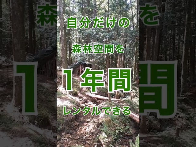森林レンタルサービスNEW!
