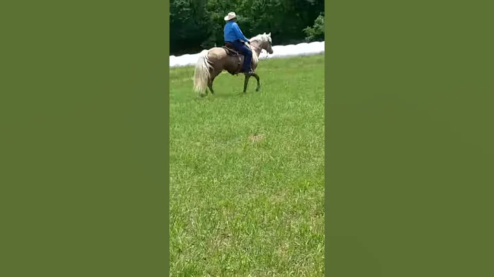 Hawks Feather 6 year old