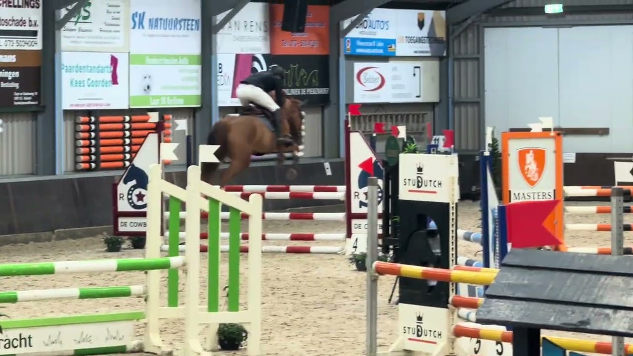 Pieper van Invictus / 1m / Berlicum