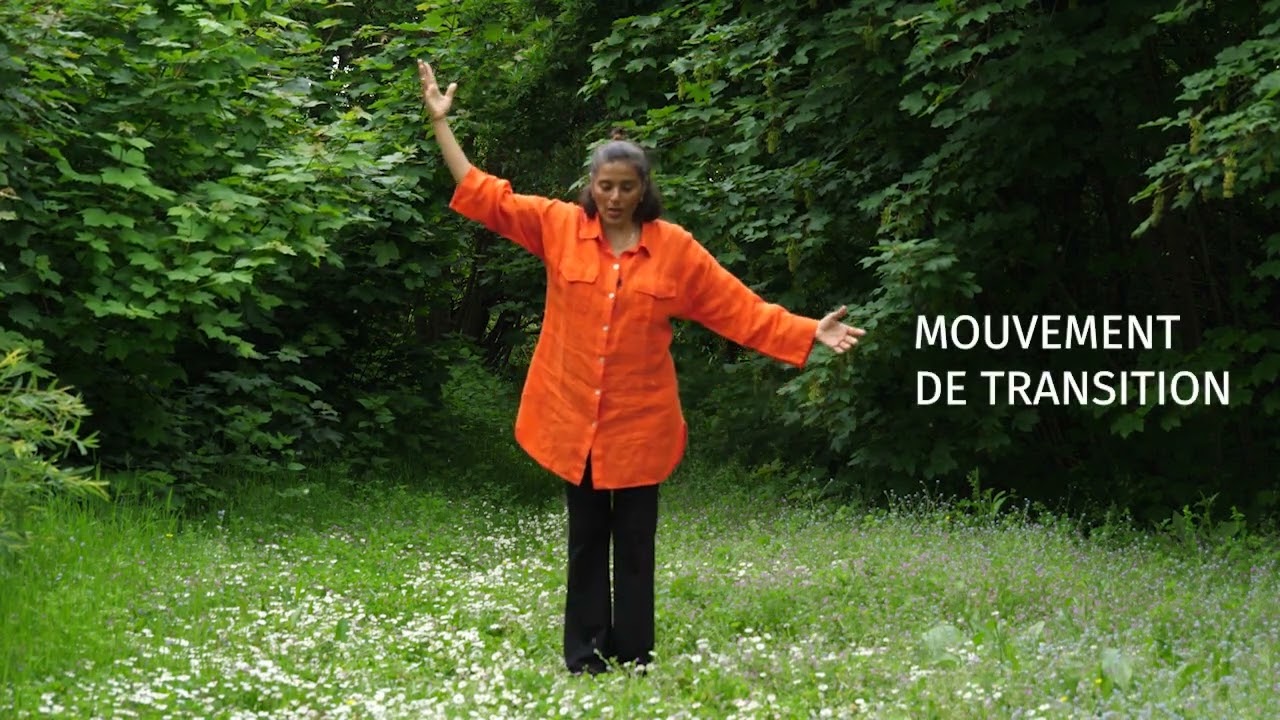 Troisième Degré du codifié (Vidéo Remi Large) - Mouvement Sensoriel